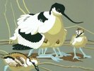 Cutting Away: The Linocuts of Robert Gillmor (Wildlife Art Series...