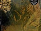 Lurker Of Chalice s/t DLP DIEHARD gold vinyl leviathan watain krieg nachtmystium