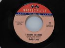 Buddy Lamp You've Got The Loving Touch I Wanna Go Home Wheelsville 113 45