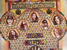 1974 Lynyrd Skynyrd Second Helping LP Record Album Vinyl MCA 413 VG+/VG+