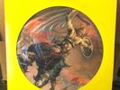 MOLLY HATCHET BEATIN' THE ODDS RARE PROMO Vinyl Record Picture Disc (11)