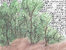 EXPLOSIONS IN THE SKY - EARTH IS NOT A COLD DEAD PLACE NEW VINYL