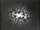 TRAD GRAS och STENAR-HOMELESS CATS-2009 DOUBLE GATEFOLD VINYL--SWEDEN