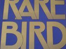 RARE BIRD - AS YOUR MIND FLIES BY - UK 70 - 1st PRESS - NM