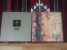 prince gold experience promo AND standard release (vinyl)