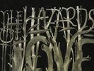 The Decemberists-The Hazards Of Love (UK IMPORT) VINYL NEW