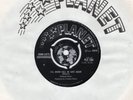 R&B/NORTHERN SOUL-JOHN LEE'S GROUNDHOGS-I'LL NEVER FALL IN LOVE AGAIN-**PLANET**