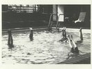 IN AETERNAM VALE - La Piscine - Vinyl (limited coloured vinyl 12