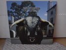INDIE ROCK NEW WAVE / SWERVEDRIVER / MEZCAL HEAD / 1993 / ALTERNATIVE GRUNGE