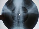 Johnny Cash - The Ring Of Fire  X-RAY USSR ROENTGEN Bones Record