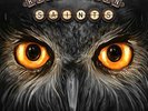 Light In The Dark [VINYL BRAND NEW] by Revolution Saints UK Stock. Night Ranger.