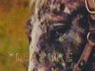 SPIRIT OF THE BEEHIVE: PLEASURE SUCK (LP vinyl *BRAND NEW*)