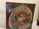 ROBERT HUNTER TIGER ROSE LP 1975 SEALED PUNCH HOLE GRATEFUL DEAD RELATED BEAUTY