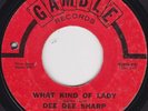 Northern Soul - Dee Dee Sharp - What kind of lady original 1st release US Gamble