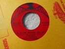 Donoman & the Skylarks ex 7 Here Comes the Fool / Do You Know