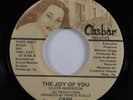 Modern Soul 45 CASH The Joy Of You CASBAR VG+ HEAR
