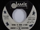 Northern Soul 45 DOROTHY & HESITATIONS Trying To Work A Plan JAMIE + promo HEAR