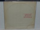 GREAT WHITE WONDER - 2 Record Set - BOB DYLAN - tmoq Style - LIVE 2 LPs