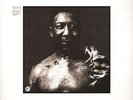 Muddy Waters ?- After The Rain LP - SEALED Vinyl Album Reissue - Chicago Blues