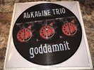 Alkaline Trio Goddamnit Vinyl Blink-182 Matt Skiba Bayside Taking Back Sunday