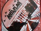 Anti Flag - For Blood And Empire (PICTURE LP VINYL) punk rock 2005