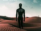 Like Moths To Flames - Dark Divine Vinyl LP Bmg Rights Management NEW