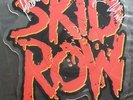 Skid Row - SIGNED Picture Vinyl Shape 