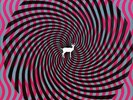 Deerhunter - Cryptograms/Flourescent Grey (Vinyl Used Very Good)