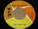 NORTHERN SOUL MOTOWN 45 - RICK ROBIN & HIM - CAUSE YOU KNOW ME - V.I.P.