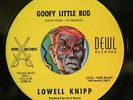 HEAR Lowell Knipp 45 Goofy Little Bug/Pretty Brown Eyes DEWL 4266 NM rockabilly