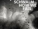 SCHWALM,JAN-PETER-HOW WE FALL (OGV) VINYL LP NEW