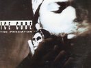 Ice Cube - The Predator LP EU Unofficial Release  DJ Muggs NWA