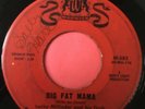 Tittyshaker 45/ Lucky Millinder 