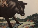 Bull Angus 'Self Titled' 1971 LP Vinyl 1ST PRESSING RARE PSYCH SRM 1 619 