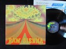 SAVOY BROWN Raw Sienna PARROT ORIGINAL 1st PRESS LP PAS-71036 electric blues NM-