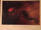 COCTEAU TWINS 'VICTORIALAND' 1986 UK LP (4AD: CAD 602) PRINTED INNER SLEEVE