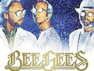 Timeless - The All-Time Greatest Hits - 2 DISC SET - Bee Gees (2018, Vinyl NEUF)