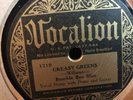 BUMBLE BEE SLIM VOCALION 1719 BLUES 78 RPM E-