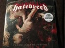 HATEBREED Divinity of Purpose LP x2 WHITE vinyl MINT 112/150