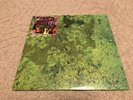 Animal Collective Water Curses EP Vinyl 12” RARE