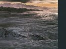 SANTANA MOONFLOWER 180GM LP VINYL RECORD NEW