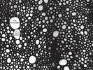 The Telescopes : As Light Return VINYL 12