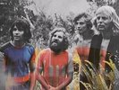 Tamam Shud - Evolution [LP] VINYL LP NEW