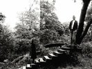 Timber Timbre-Timber Timbre (UK IMPORT) VINYL NEW