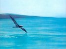 Return to Forever by Chick Corea/Return to Forever.