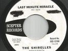 Northern Soul - Shirelles - Last Minute Miracle - Scepter - US - DJ