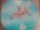 Iron maiden seventh son of a seventh son picture disc