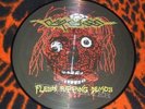 CARCASS Flesh Ripping Demos PICTURE LP suffocation repulsion cannibal corpse rot