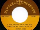 Sharon Jones The Dap-Kings I Just Dropped In vinyl 7” 45RPM Funk Soul