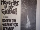 Deja Voodoo - Monsters in my garage  + live 